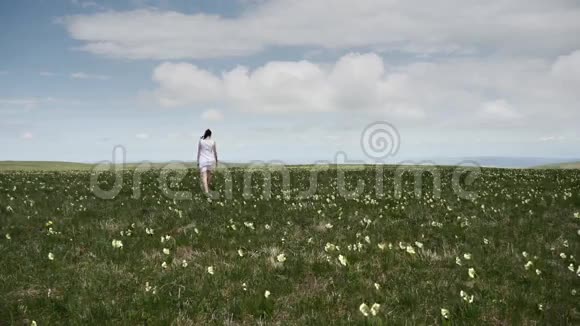 在高山草甸的女人视频的预览图