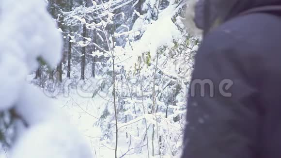 男子走雪冬季森林旅行者与背包冬天晴朗的早晨视频的预览图
