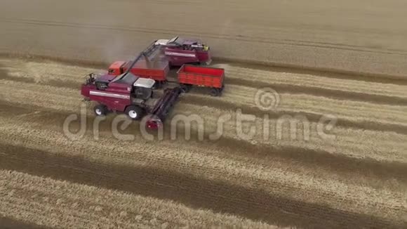 现代联合收割小麦的空中景观收割机把粮食卸到卡车上视频的预览图