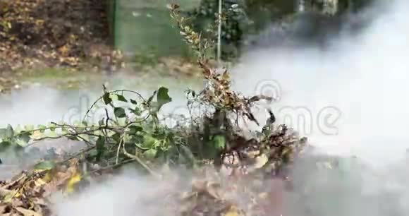 一段时间流逝的视频一堆干叶和树枝上面有新鲜的绿叶燃烧和吸烟强烈4k4096p视频的预览图