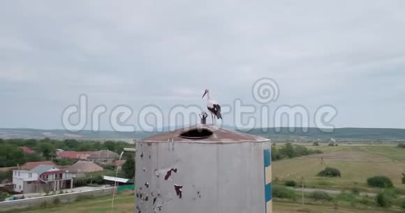 空中射击鹳在巢中的水塔在村里视频的预览图
