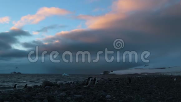 企鹅在海洋和雪山的背景下黄昏安德列夫视频的预览图