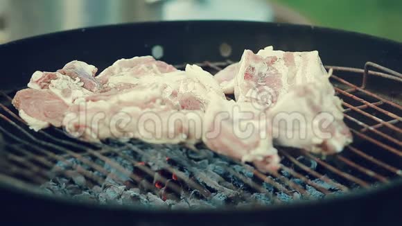 全国范围内的圆形烤架上的肉猪肉小牛肉羊肉和烧烤视频的预览图