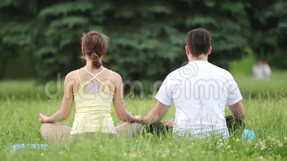 一男一女静心极乐年轻的瑜伽教练在绿草如茵的城市公园练习从后面看视频的预览图