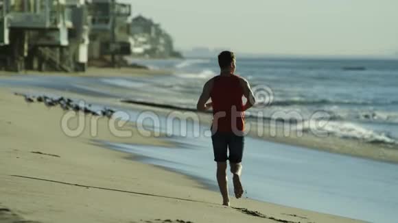 英俊的运动员在海岸慢跑视频的预览图