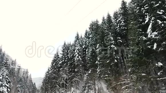 在冬天的山上在松树旁边的路上开车视频的预览图