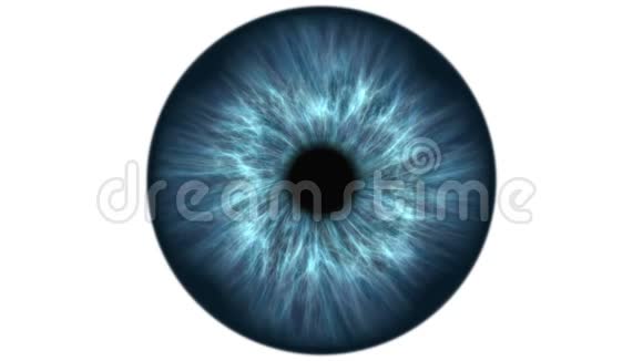 蓝色人眼扩张和收缩非常详细的虹膜和瞳孔的极端特写视频的预览图