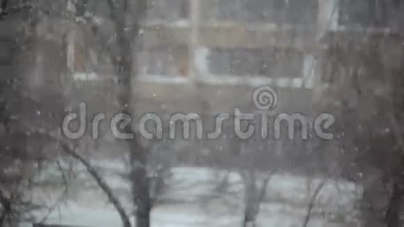 下雪的景色视频的预览图