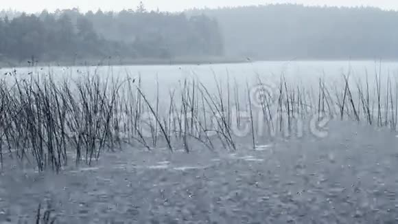 湖上的雨视频的预览图