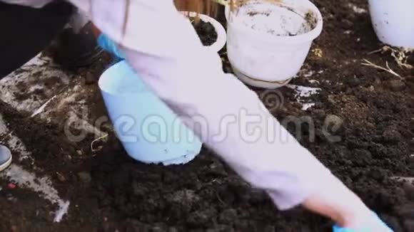 园艺女孩在灌木丛绣球花的花园里工作女园丁用浇水罐浇花花朵视频的预览图