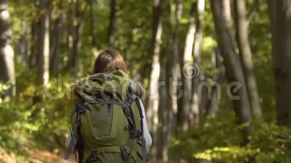 旅游女孩徒步穿越树林视频的预览图