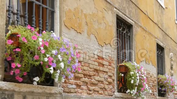 威尼斯意大利2017年9月7日所谓威尼斯或意大利建筑美丽的老式玻璃窗绿色视频的预览图