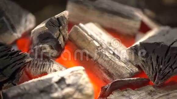 发光煤特写木炭和木柴在烤架里燃烧关闭镜头视频的预览图