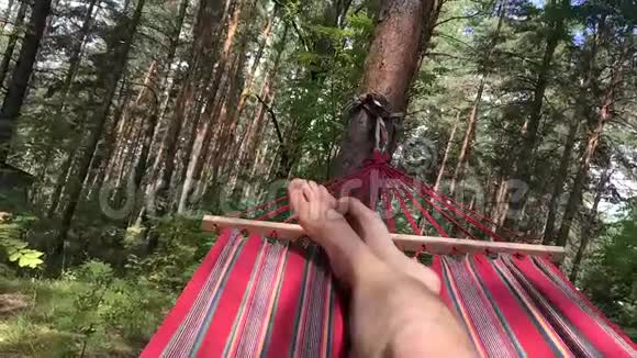 一个人骑在树林里的吊床上视频的预览图