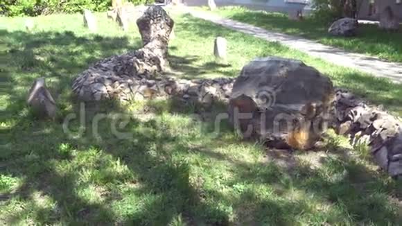 公园里蛇的石雕视频的预览图