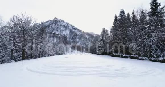 在阴天的冬季在高山山雪覆盖场附近的松林树林前空中欧洲阿尔卑斯山户外视频的预览图