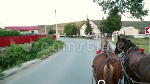 一辆马车里有两匹马和新郎的眼睛视频的预览图