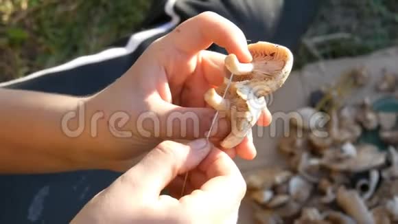 一个少年的手把蘑菇串在绳子上晾干秋收蘑菇视频的预览图