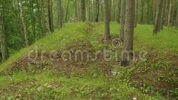 二战70多年后德国的战壕覆盖着俄罗斯森林中的绿草和树木视频的预览图