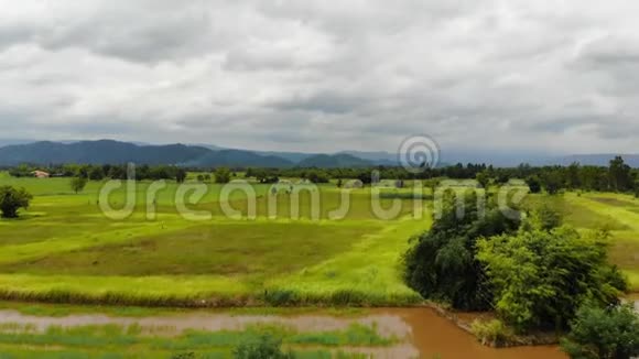 旱乡农业农场航拍景观视频的预览图