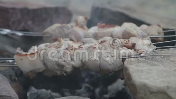 一些肉串在烧烤时被烤好视频的预览图
