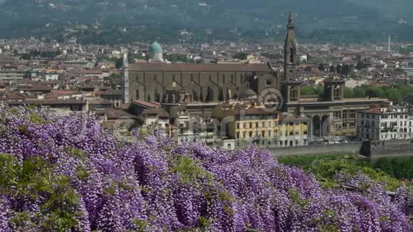 2018年4月23从著名的巴迪尼花园看到佛罗伦萨圣克罗西的美丽景色视频的预览图
