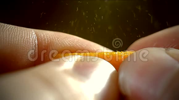 从橘黄色的果皮中溅出的无缝线视频的预览图