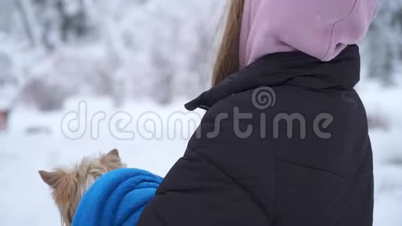一个年轻的女孩和约克郡的一只猎犬在一个冬天白雪覆盖的公园里散步抱着一只裹着蓝色毯子的狗A视频的预览图