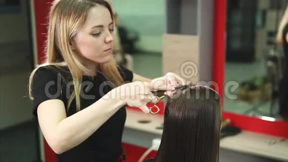 女理发师剪毛尖矫直梳理视频的预览图