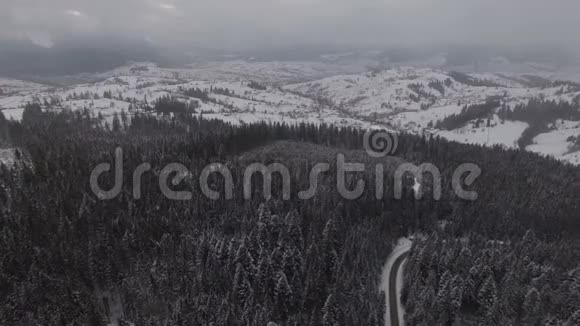 在冬天的森林里开车空中全景4k视频的预览图
