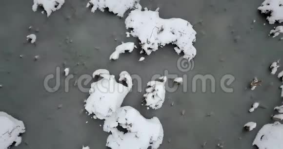 冰雪覆盖的池塘和白雪覆盖的植物冬季景观视频的预览图