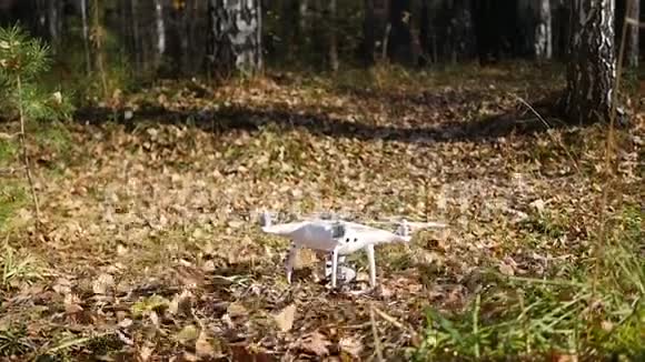操作员远程控制无人机无人机的飞行黄色的叶子在空气中从螺旋桨中升起视频的预览图