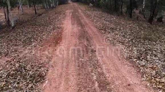 穿过碎石路穿过乡村景观视频的预览图
