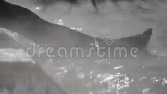 女人温泉地热池的腿视频的预览图