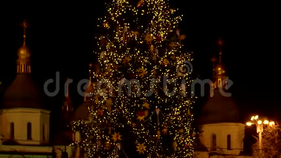 在闪烁的圣诞树中间视频的预览图