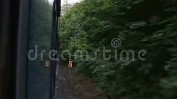 从密林中的火车窗外眺望向外眺望视频的预览图