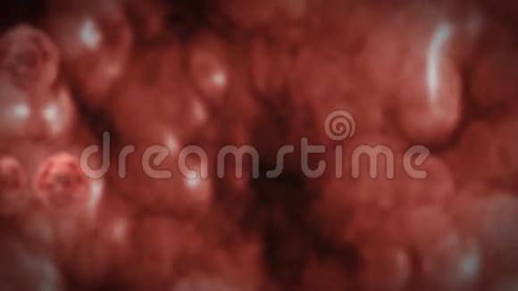 在人体内红细胞高度细致的纹理视频的预览图
