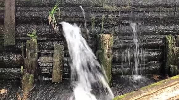 瀑布瀑布森林和岩石组成的水坝视频的预览图