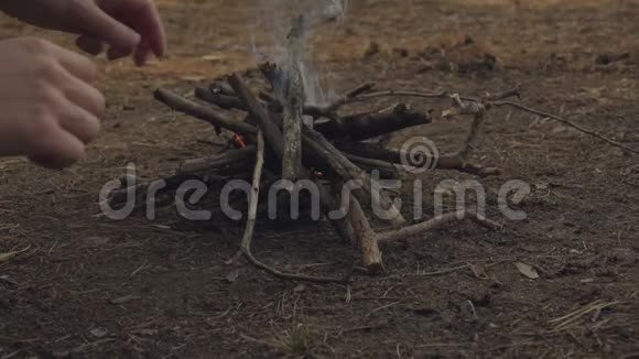 傍晚森林里男人手把树枝放进小篝火里篝火慢动作视频的预览图