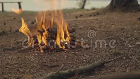 在河边的湖边森林小路露营时燃烧篝火长凳树背景视频的预览图