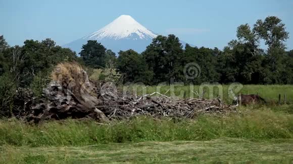 奥索诺火山智利视频的预览图