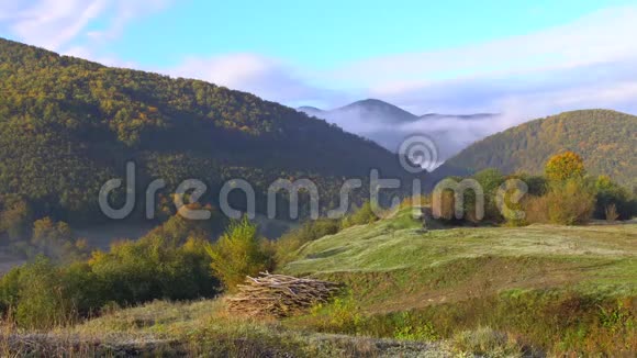 山坡上的常绿森林笼罩在低矮的云层中形成梦幻般的景观视频的预览图