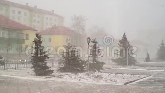春天的下午城市里刮起了雪和风背景是房屋和路标视频的预览图