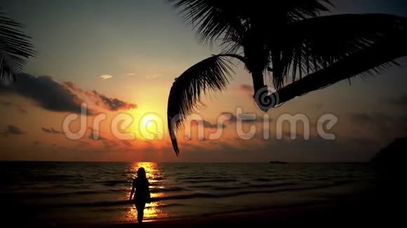带着黝黑皮肤和长发的无忧无虑的女孩在背景海和美丽的日落的热带海滩上享受暑假视频的预览图
