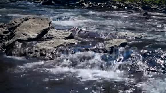 用石头过河视频的预览图
