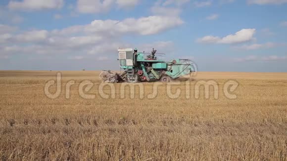 联合收割机在田野上行驶是时候收割小麦了视频的预览图