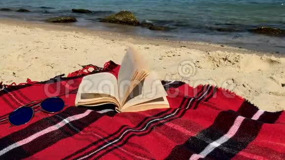 打开书躺在阳光明媚的沙滩上的格子呢上视频的预览图