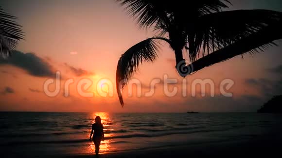 皮肤黝黑长发的无忧无虑的女孩在热带海滩享受背景海和美丽日落的假期视频的预览图