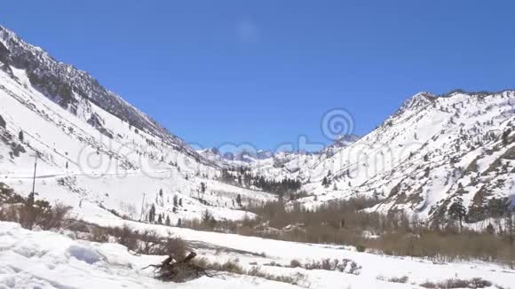 因约国家森林覆盖的雪山视频的预览图