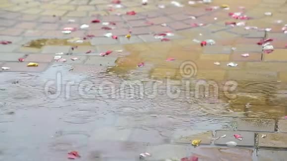 雨落在一个小水坑里在婚礼的玫瑰花瓣附近不成功的婚礼婚礼当天的雨视频的预览图